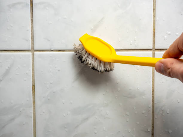 Best Preventive Mold Services in Benton, TN