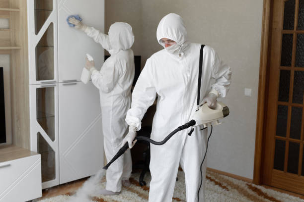 Best White Mold Remediation in Benton, TN